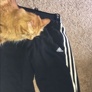 adidas sweatpants